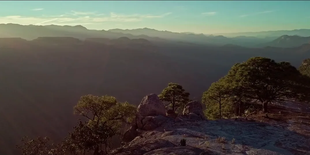 Canyon landscape of the Sierra Tarahumara with pine trees at sunset
