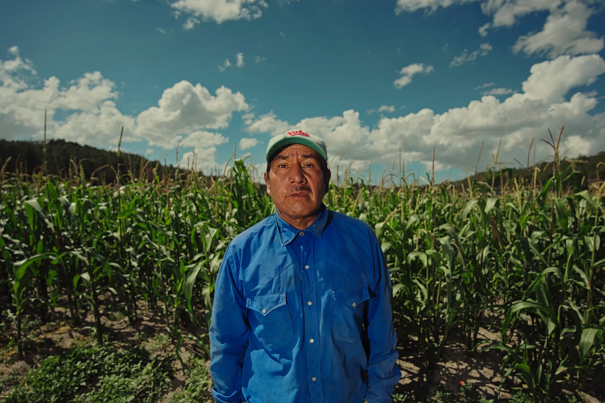 Farmer in a blue shirt standing in a cornfield under a cloudy sky in Chihuahua, Mexico
