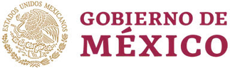 Gobierno de México client logo